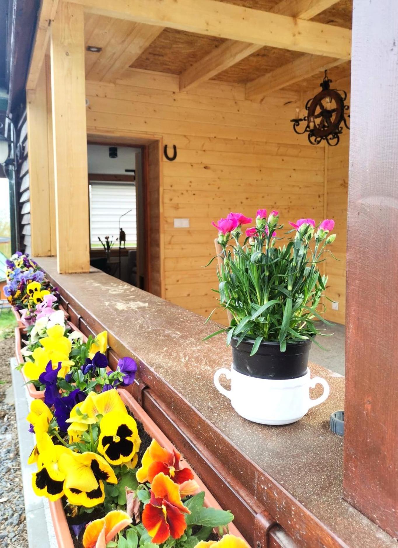 Chybotek Premium Domek Danusia Preseka Exterior foto